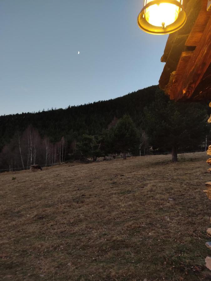ホテル Bordes Pirineu, Costuix Areu エクステリア 写真