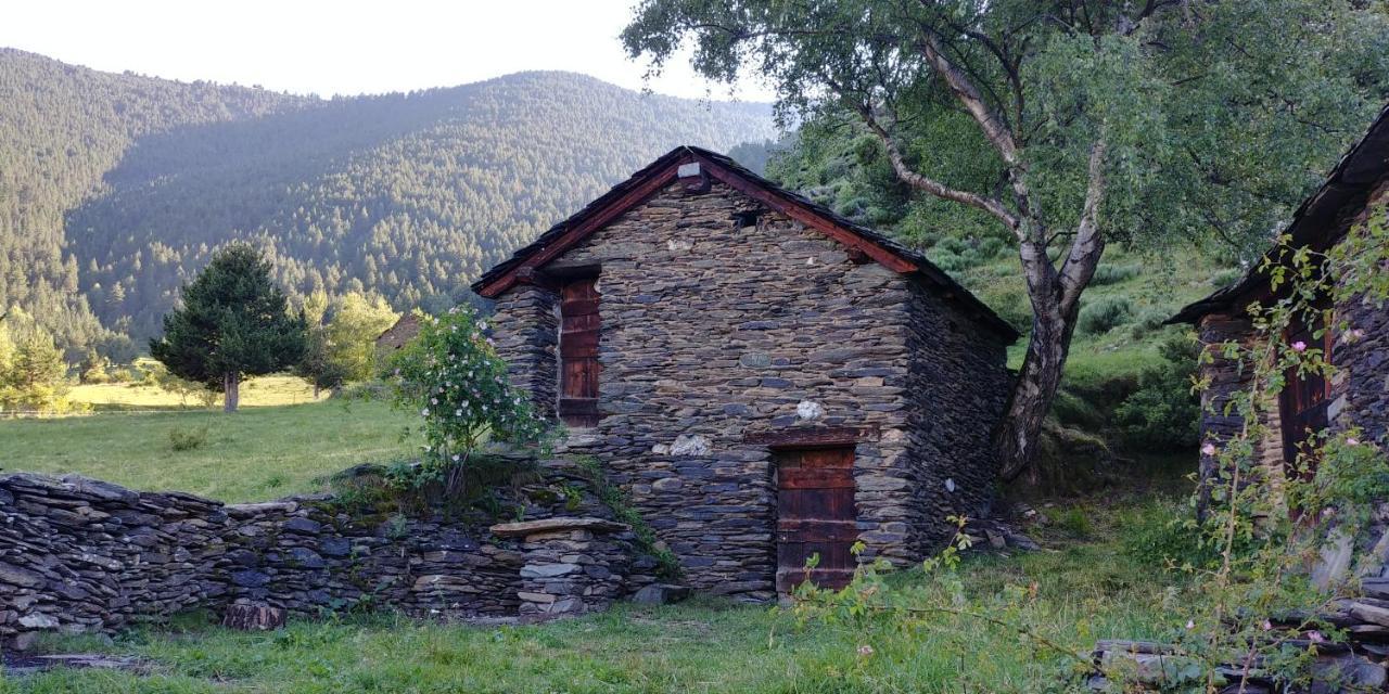 ホテル Bordes Pirineu, Costuix Areu エクステリア 写真